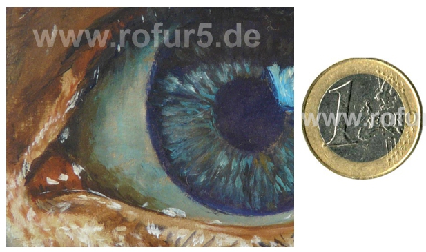 Rolf Fuhrmann, Malerei: Auge - Detail-Vergrerung und Grenvergleich mit 1-EUR-Mnze.