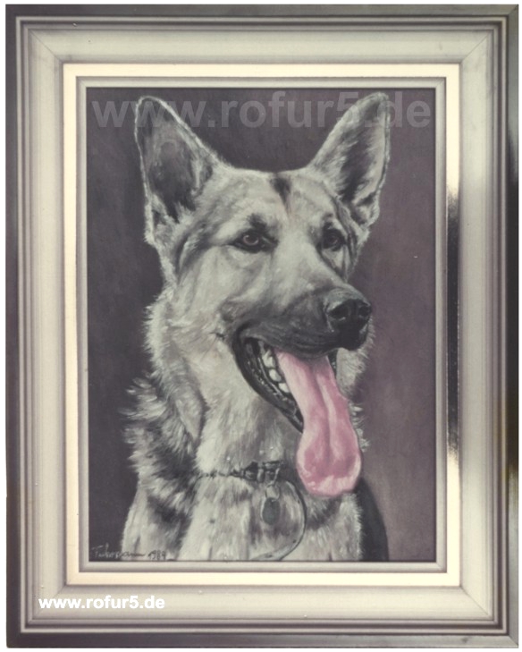 Rolf Fuhrmann: Schferhund-Portrait